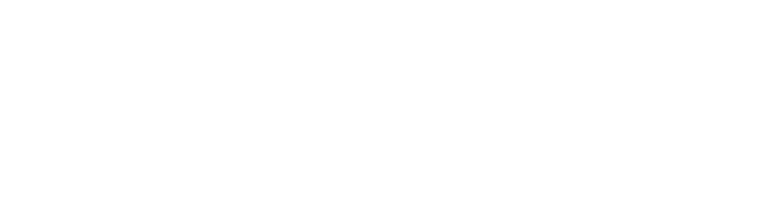 Domino's Pizza logo
